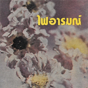 ไฟอารมณ์ /ชูวงศ์ ฉายะจินดา